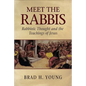 Meet the Rabbis: Rabbinic Thought and the Teachings of Jesus - Paperback