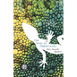 The Book of Chameleons - Paperback