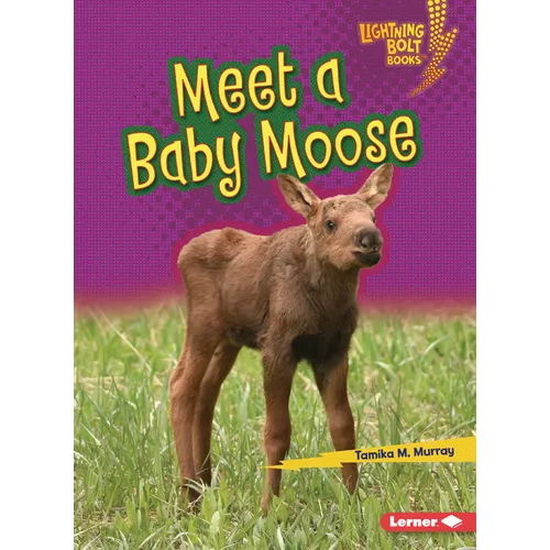 Meet a Baby Moose - Paperback