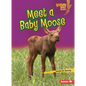 Meet a Baby Moose - Paperback