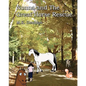 Nonna and the Great Horse Rescue - Paperback