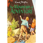 The Mountain of Adventure - Paperback