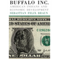 Buffalo, Inc.: American Indians and Economic Development - Paperback