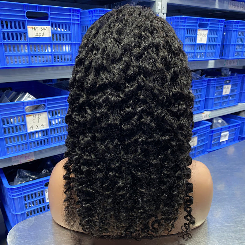 Human Hair Wig Full-head Wig