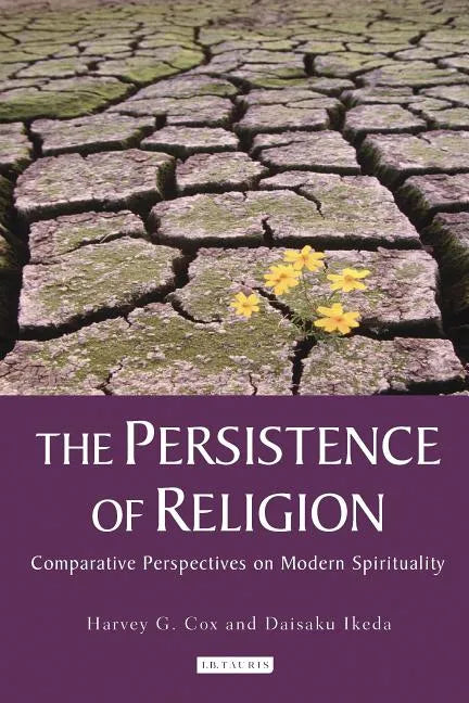 The Persistence of Religion: Comparative Perspectives on Modern Spirituality - Paperback