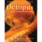 Octopus: The Ocean's Intelligent Invertebrate - Hardcover