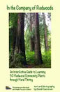 In the Company of Redwoods: An InterActive Guide to Learning 50 Redwood Community Plants through Hand Tinting - Paperback