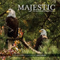 Majestic: The Bald Eagles of Berry College - Paperback