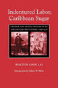 Indentured Labor, Caribbean Sugar: Chinese and Indian Migrants to the British West Indies, 1838-1918 - Paperback