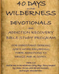 40 Days in the Wilderness Addiction Recovery Devotionals and Bible Studies - Paperback
