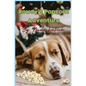 Rowdy's Popcorn Adventure - Paperback