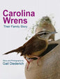 Carolina Wrens: Their Family Story - Hardcover