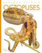 Octopuses - Paperback