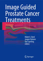 Image Guided Prostate Cancer Treatments - Hardcover