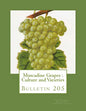 Muscadine Grapes: Culture and Varieties: Bulletin 205 - Paperback