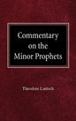 Commentary on the Minor Prophets - Hardcover