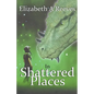 In Shattered Places - Paperback