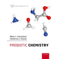 Prebiotic Chemistry - Paperback