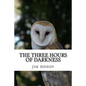 The three hours of darkness - Paperback