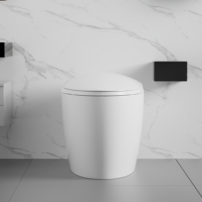 Unique Smart Toilet with Bidet Built In, Intelligent One Piece Toilet For Mod...