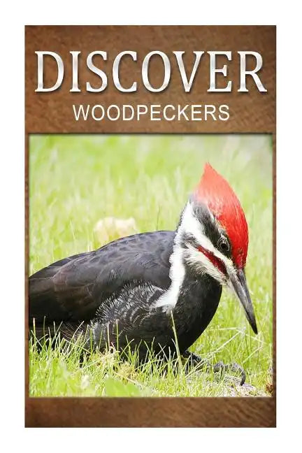 Woodpeckers - Discover: Early reader's wildlife photography book - Paperback