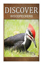 Woodpeckers - Discover: Early reader's wildlife photography book - Paperback