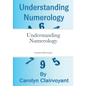 Understanding Numerology - Paperback