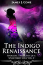 The Indigo Renaissance (Sporadic Thoughts of a Splintered Soul vol. 2) - Paperback