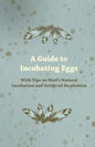 A Guide to Incubating Eggs - With Tips on Bird's Natural Incubation and Artificial Incubation - Paperback