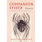 Companion Spider - Paperback