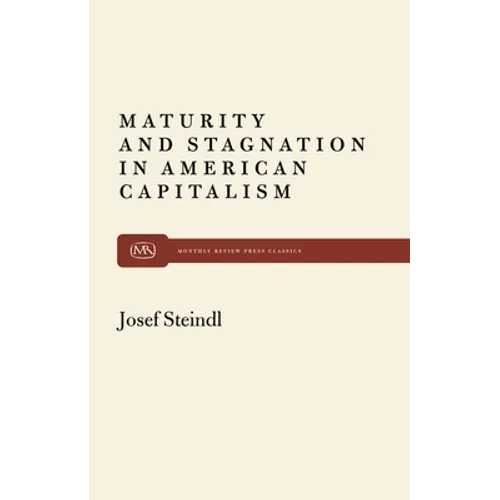 Maturity and Stagnation in American Capitalism - Paperback