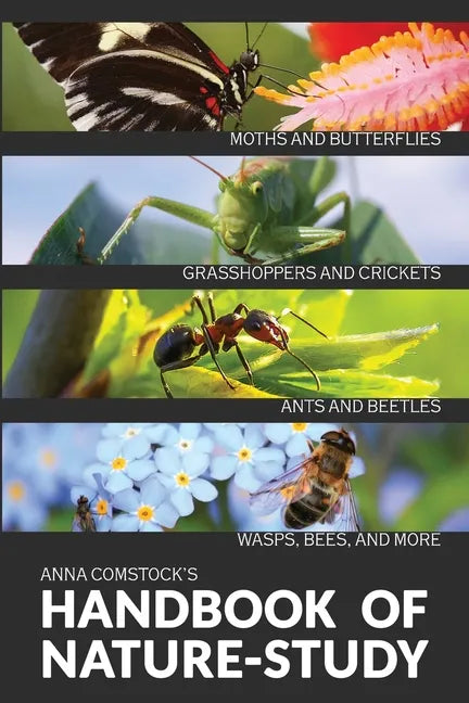 The Handbook Of Nature Study in Color - Insects - Paperback