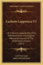 Lachesis Lapponica V1: Or a Tour in Lapland, Now First Published from the Original Manuscript Journal of the Celebrated Linnaeus (1811) - Paperback