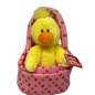 Jelly Beaners Chick