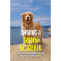 Owning A Golden Retriever: Things Every Owner Should Know, From Breeding To Feeding & Training: The Best Breeding Practices For Golden Retrievers - Paperback