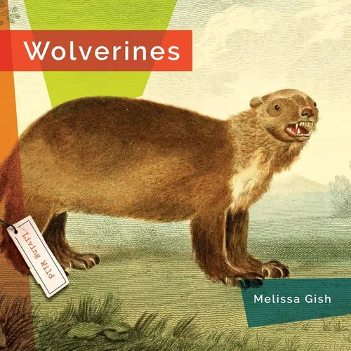 Wolverines - Paperback