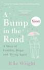 A Bump in the Road: A Story of Fertility, Hope and Trying Again - Paperback
