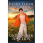 Underwear Junction - Paperback