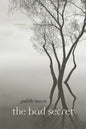 Bad Secret: Poems - Paperback