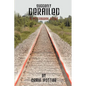 Suddenly Derailed: A Pittsburgh Story - Paperback