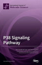 P38 Signaling Pathway - Hardcover