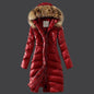 Raccoon Large Fur Collar Plus Size Slim Down Coat And Long Women