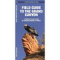 Field Guide to the Grand Canyon: A Folding Pocket Guide to Familiar Plants & Animals - Paperback