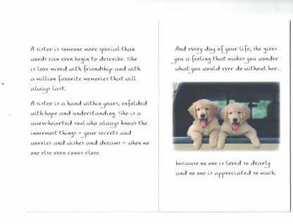 How Do You Tell A Sister How Wonderful She Is - Greeting Card