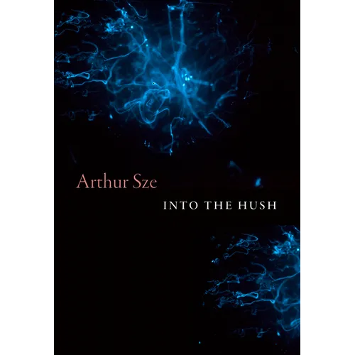 Into the Hush - Hardcover