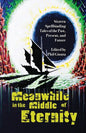 Meanwhile in the Middle of Eternity - Paperback