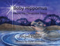 Baby Hippomus Hears the Christmas Story - Paperback