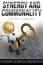 Synergy and Commonality: The Key to Success - Paperback