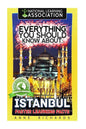 Everything You Should Know About: Istanbul Faster Learning Facts - Paperback