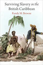Surviving Slavery in the British Caribbean - Hardcover